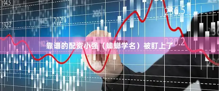 靠谱的配资小强（蟑螂学名）被盯上了